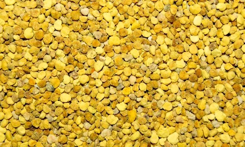 1 shutterstock 156790241 jpg jpeg