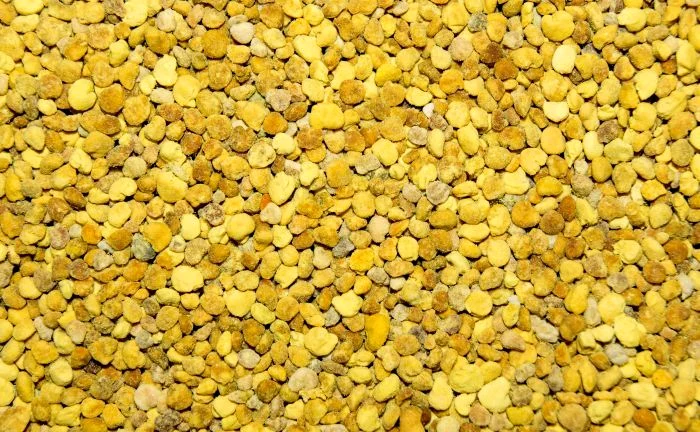 1 shutterstock 156790241 jpg jpeg