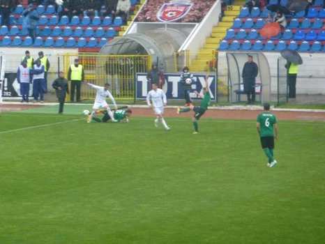 fc botosani-otelul