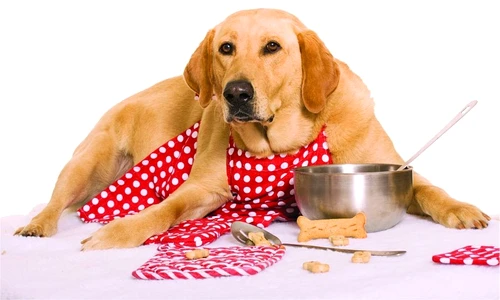 1 47180 original jpg jpeg