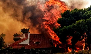 incendiu vegetatie casa jpeg