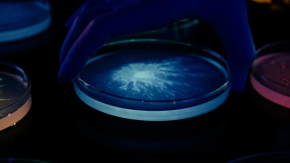 România produce cercetare, dar nu o transformă în soluții pentru economie. Irineu Darău: Avem nevoie de oameni și instituții pregătite