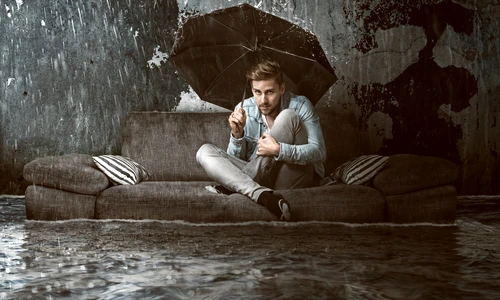 1 shutterstock 570628087 jpg jpeg