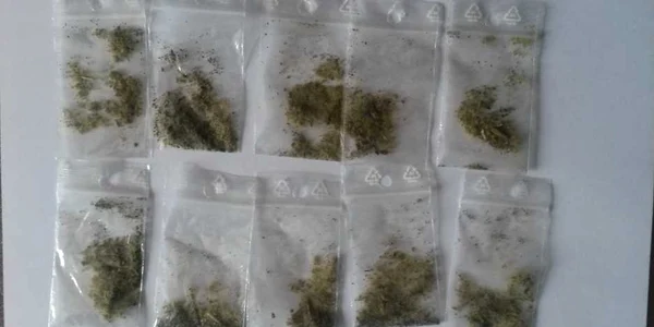 droguri depistate de jandarmii constanteni