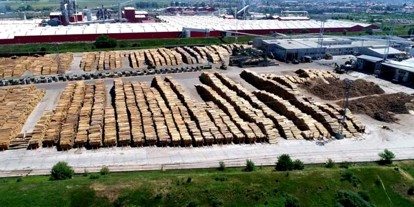hs timber sebes