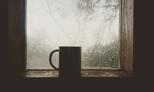 israelbest coffee 1711431 1280 jpg