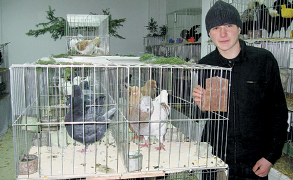 Expoziţie de Crăciun cu animale la Reşiţa