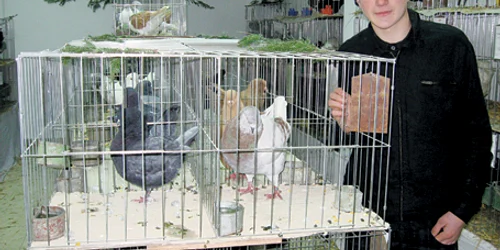 Expoziţie de Crăciun cu animale la Reşiţa