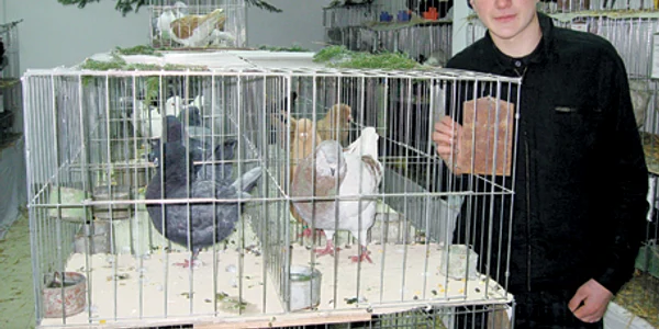 Expoziţie de Crăciun cu animale la Reşiţa