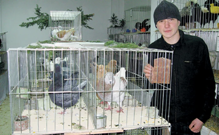 Expoziţie de Crăciun cu animale la Reşiţa