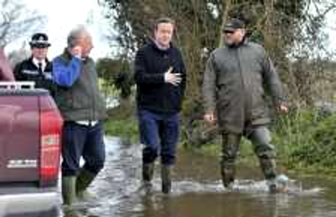 Premierul britanic, David Cameron. FOTO: Reuters