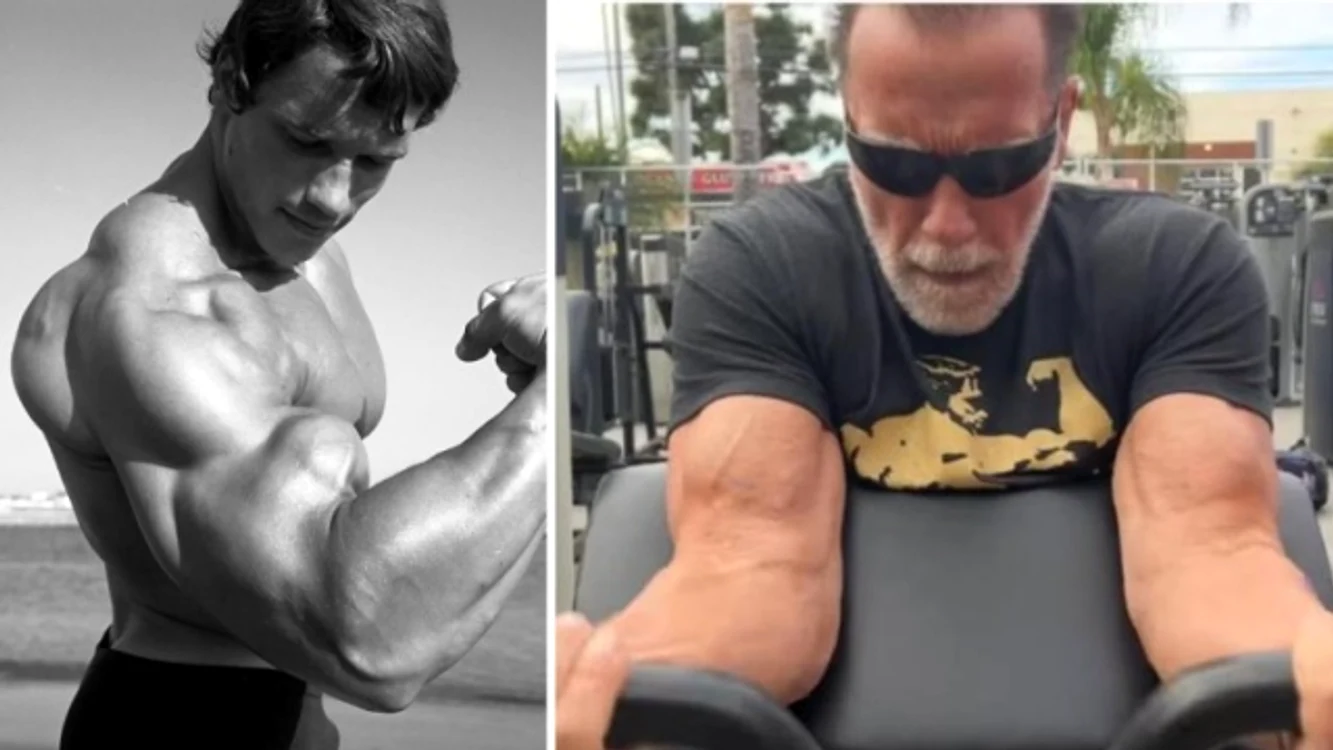 Mușchii lui Arnold, atunci și acum