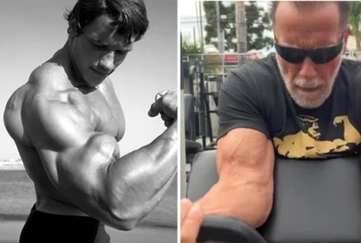 arnold jpg