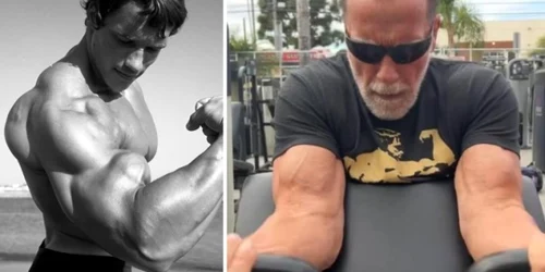 arnold jpg