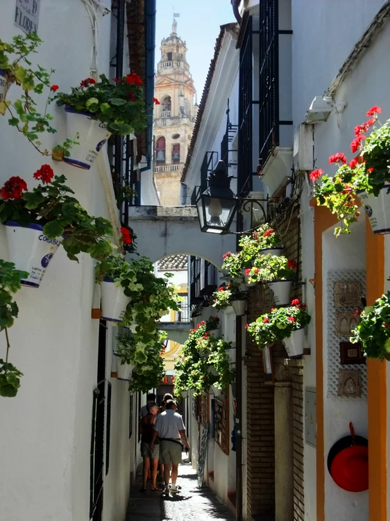 Calleja de las Flores