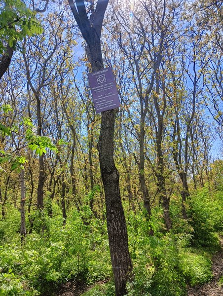 Tamasidava, cea mai mare cetate geto-dacă la est de Carpați, lăsată uitării de statul român FOTO