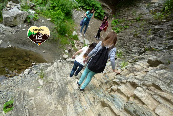 Cheile Tişiţei îţi oferă un spectacol la fiecare pas FOTO: Alexandra Tătaru