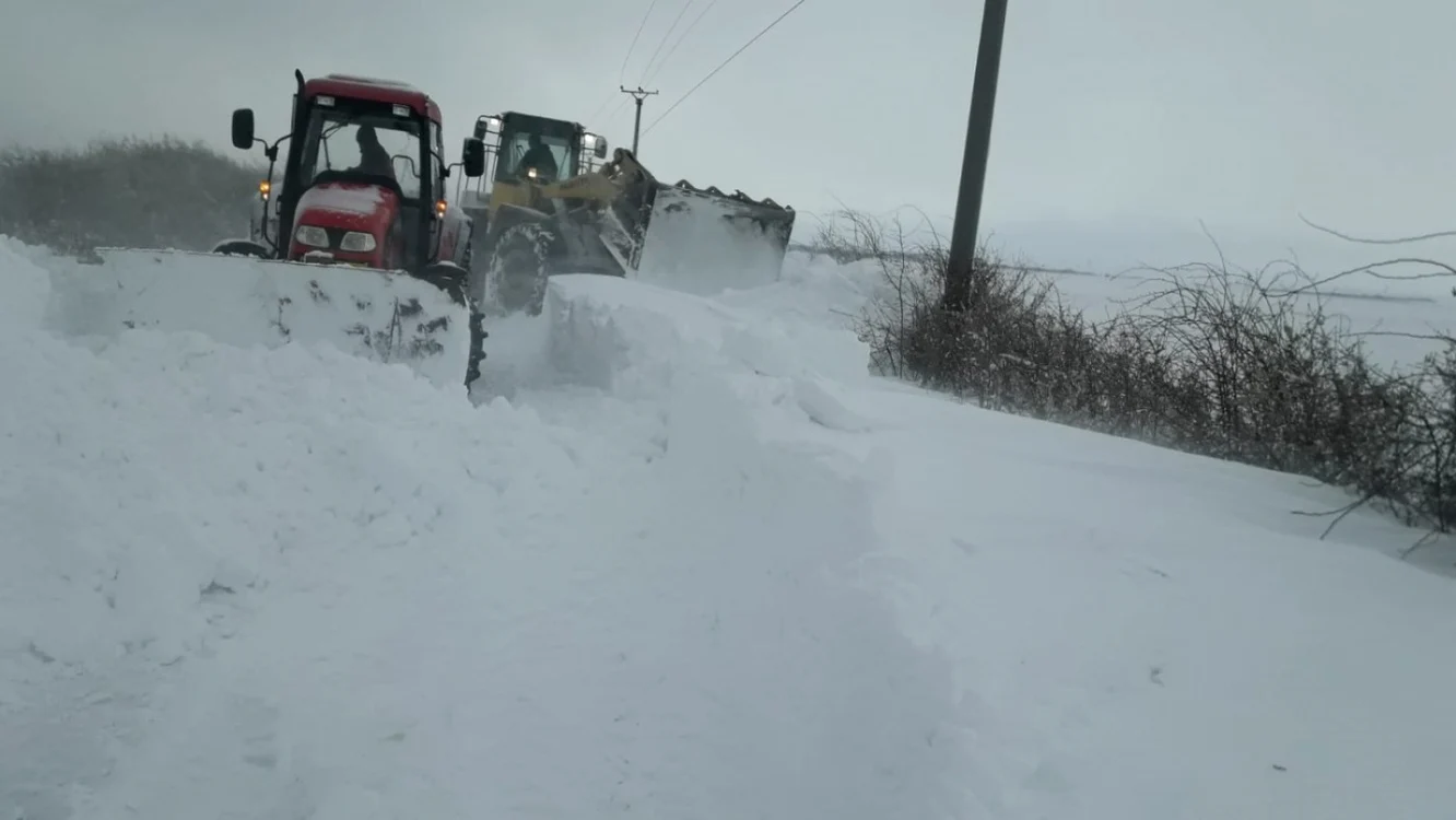nămeţi în martie