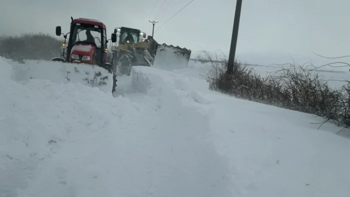 nămeţi în martie