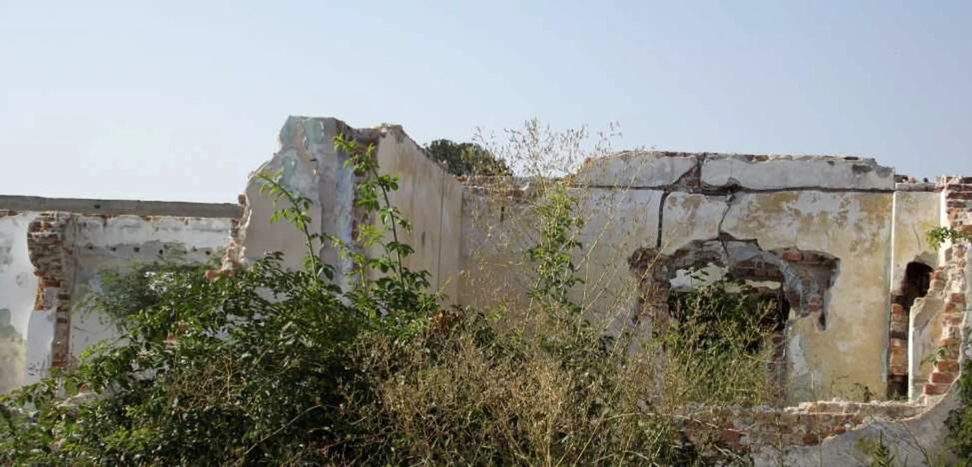 Ruine Peninsula 
