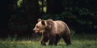urs brun, foto shutterstock jpg