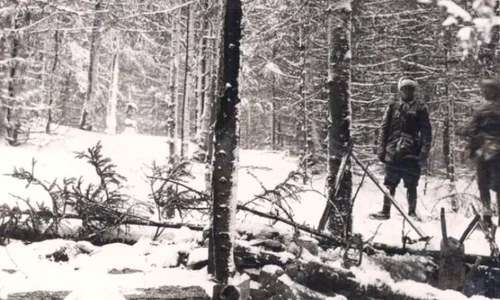 Acţiunea de căutare şi deshumare a unor partizani anticomunişti, ucişi de Securitate în Munţii Apuseni jpeg