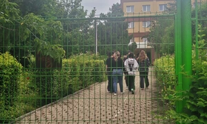 IMG 20250610 082434 jpg