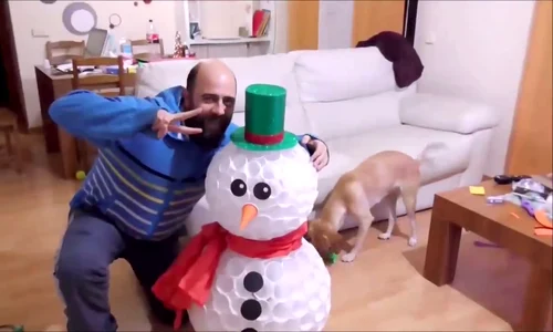 vlcsnap 2015 12 30 14h09m00s223 png