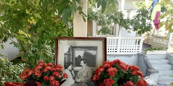 alexandru vlahuta jpg