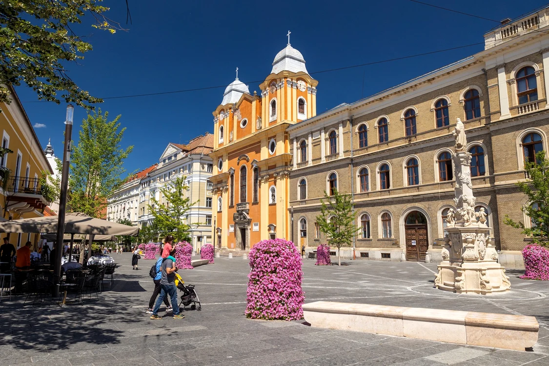 Orașul Cluj Napoca Foto: FB