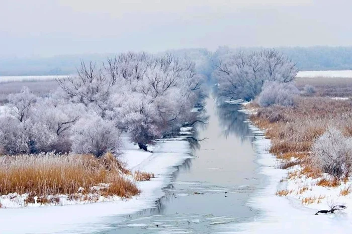 Peisaj de iarnă în Delta Dunării. Foto: Discover Dobrogea/Daniel Petrescu