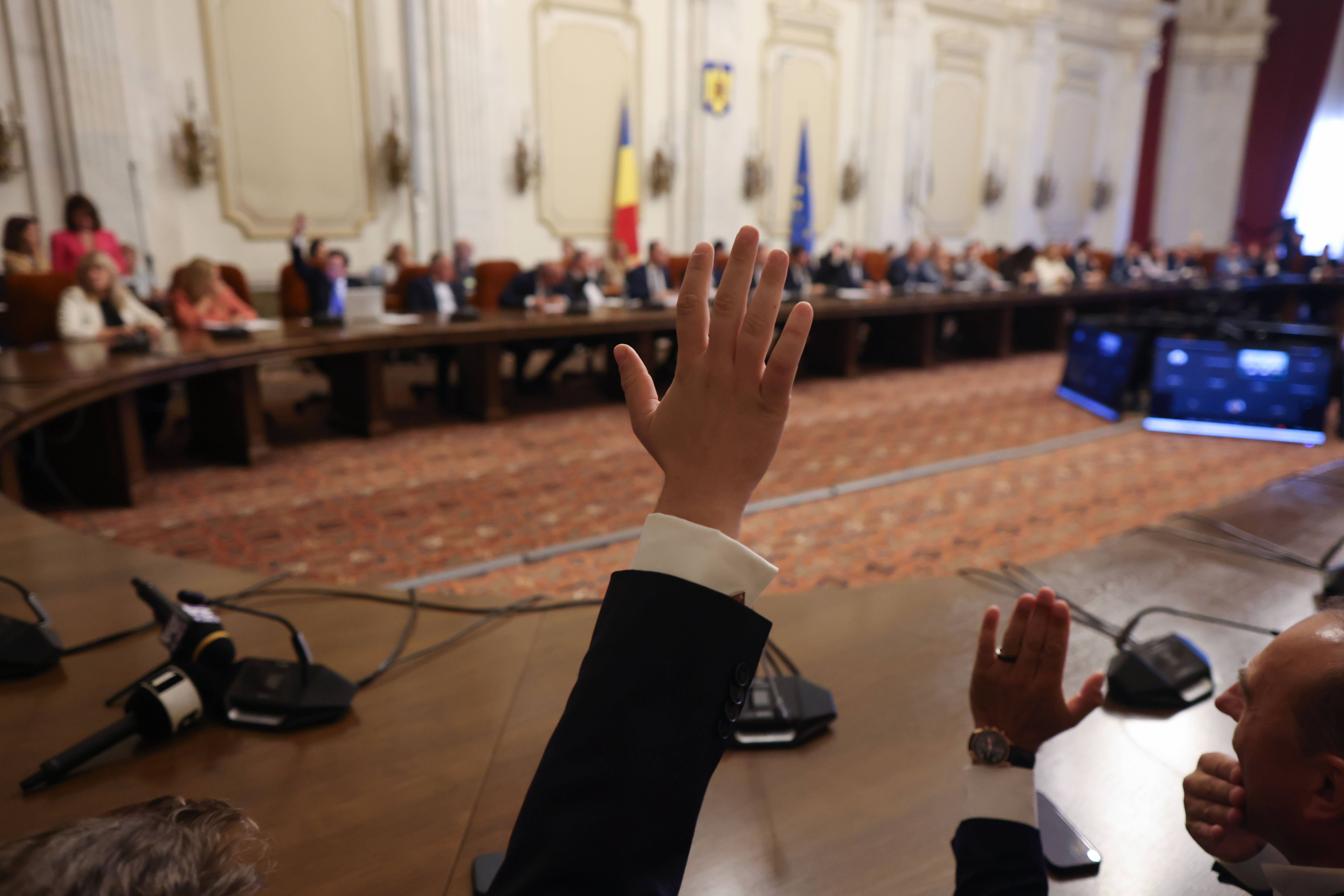Audieri Parlament miniștri Muresan 4