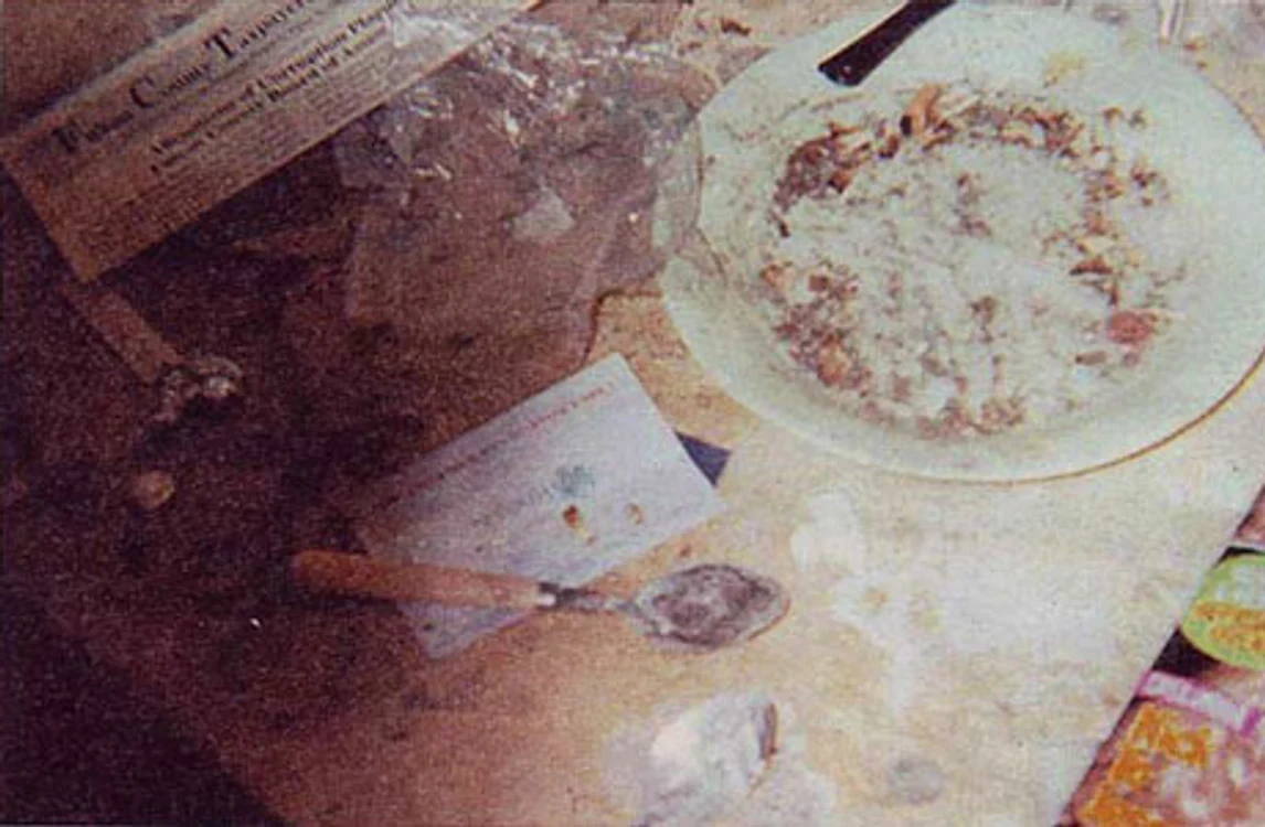 Cum arăta baia lui Whitney Houston, în 2006, când obişnuia să consume frecvent droguri FOTO: The National Enquirer
