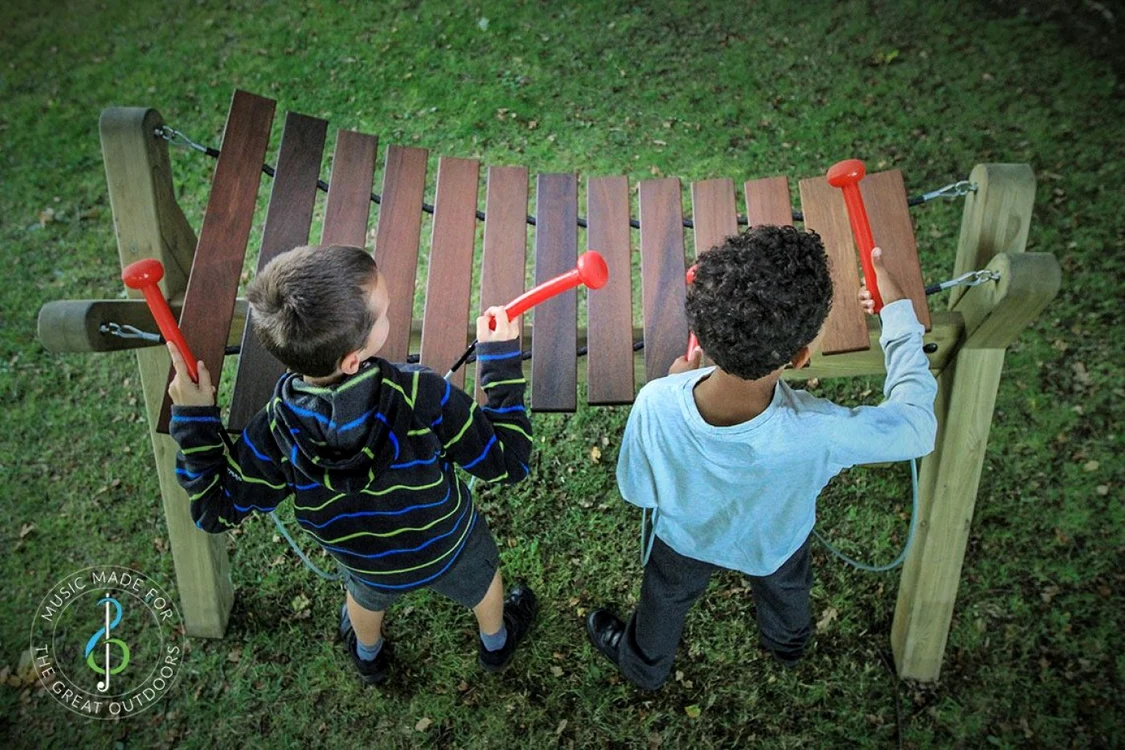 Braşovenii îşi doresc grădini muzicale FOTO percussionplay.com