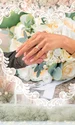 banner Jessie banes png