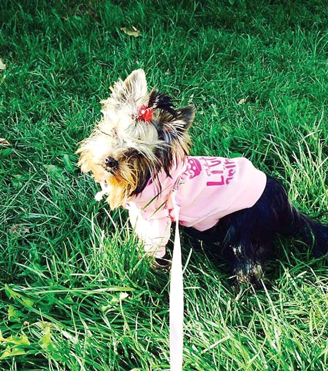 Lucian Viziru este cel mai fericit alături de simpaticul Mihai