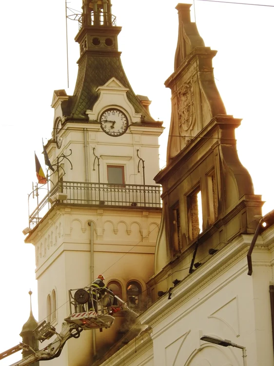 nicu idol suceava
