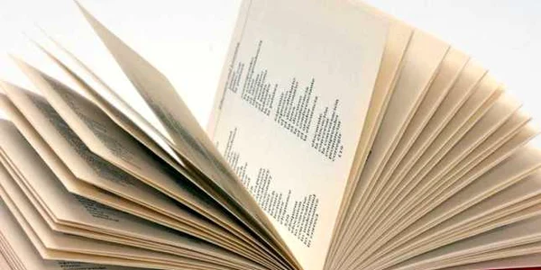 dictionar