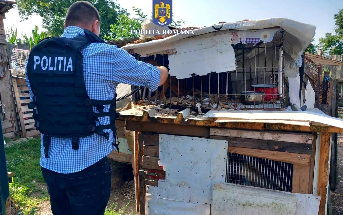 Poliția animalelor. FOTO Poliția Română