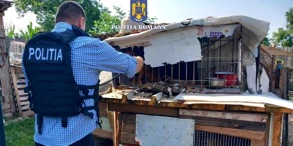 Politia animalelor Hunedoara  Foto IPJ Hunedoara jpg