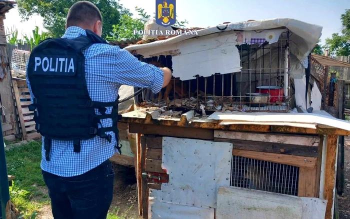 Descinderi la proprietarul unor câini periculoși. Foto: IPJ Hunedoara.