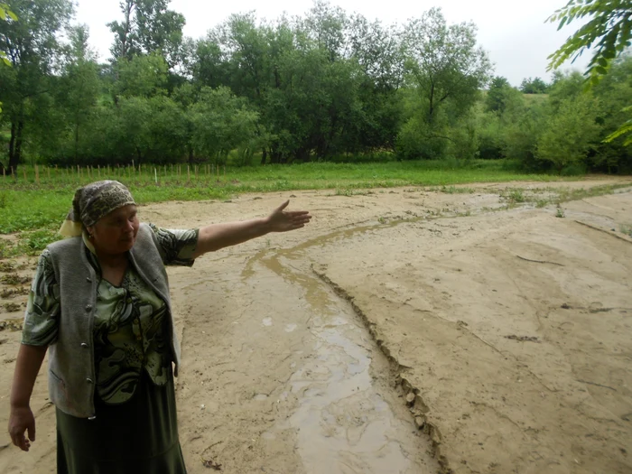 Grădinile oamenilor au fost acoperite cu un strat de mâl