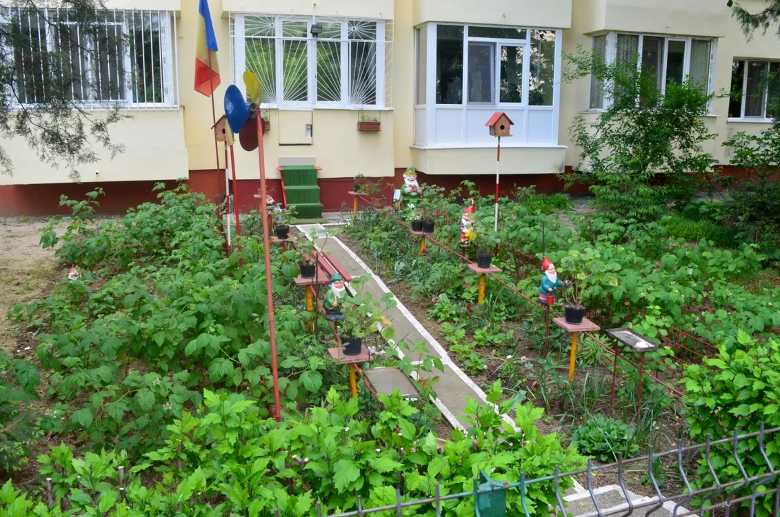 O parte dintre locatarii de la parter şi-au amenjat grădini în faţa blocului FOTO Cristina Răduţă