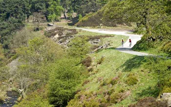 sheffield foto shutterstock