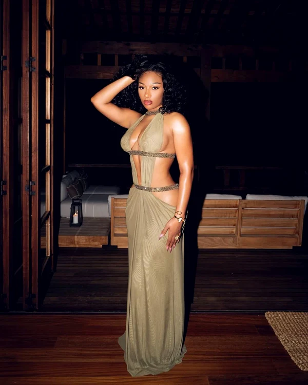 Megan Thee Stallion a ajuns la spital (Foto: Instagram)