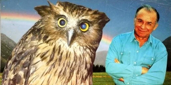Colajele constituie o critică dură şi, în acelaşi timp, comică la adresa politicienilor români