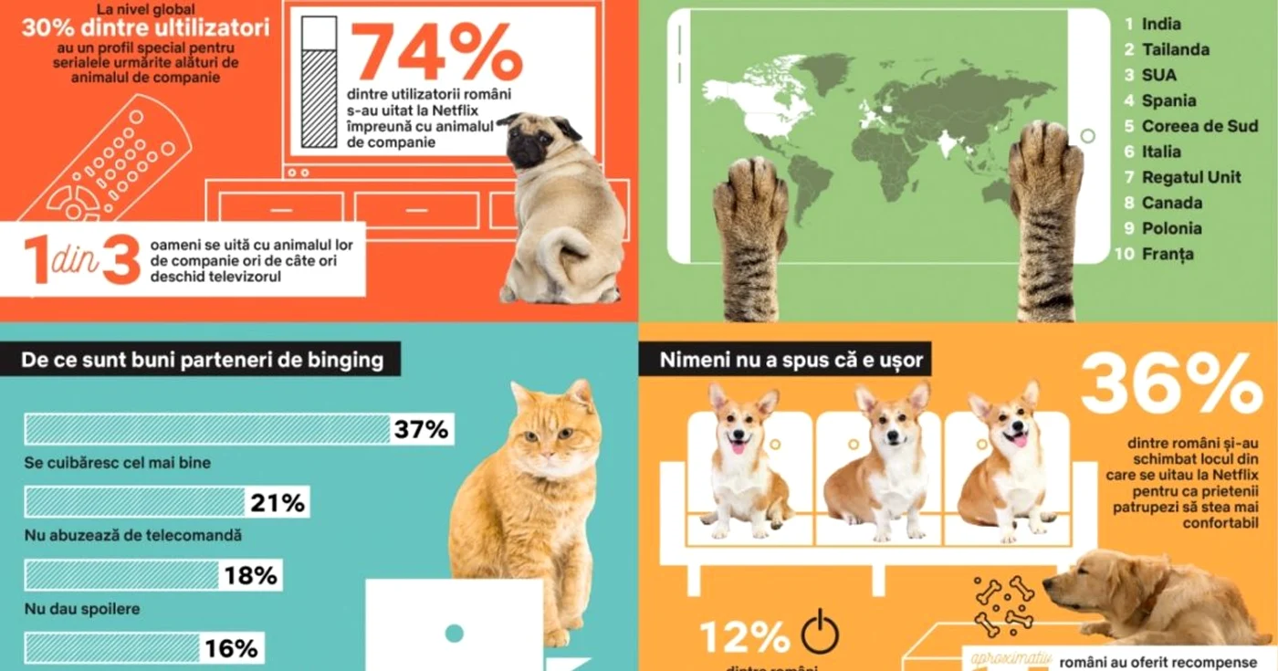 netflix animale de companie