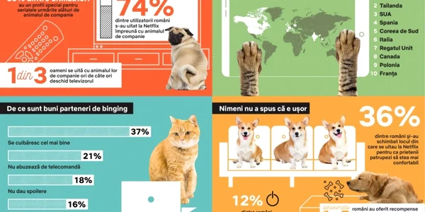 netflix animale de companie
