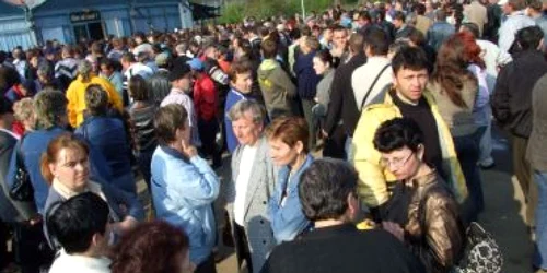 Satu Mare: Numărul şomerilor se apropie de 8.000