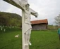 Roșia, Valea Geoagiului Foto Daniel Guță ADEVĂRUL (63) JPG